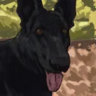 Selected profile picture