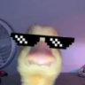 Matched profile picture