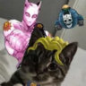 Selected profile picture
