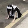 shinnnnobi