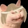 Selected profile picture