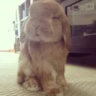 scaredofthecamera