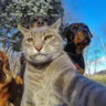Selected profile picture
