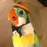 Selected profile picture