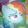 Selected profile picture