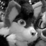 fintonfolf