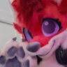 foxodared