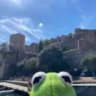 Matched profile picture