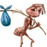 Profile picture for this group