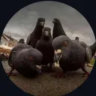 Matched profile picture
