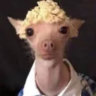 Matched profile picture