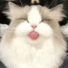 itsopest