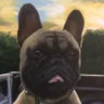 Matched profile picture