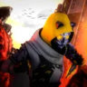 Selected profile picture