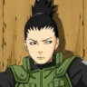 acekurusu