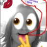 Selected profile picture