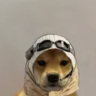 mrrex_xp