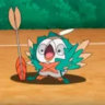 ctbird