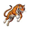 Matched profile picture