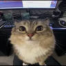 boreddevnl