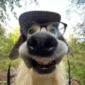 Matched profile picture