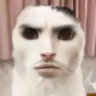 Matched profile picture