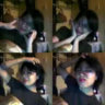 _jusipzz