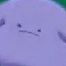 violethertz