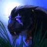 Selected profile picture