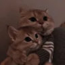 Matched profile picture