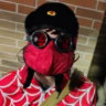 Matched profile picture