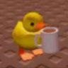 Matched profile picture