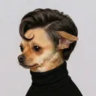 Selected profile picture