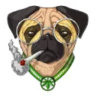 Selected profile picture