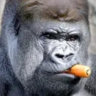 Matched profile picture