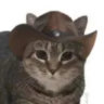 sircat07