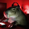 Matched profile picture