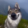 Selected profile picture