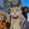 Matched profile picture
