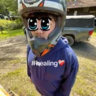 lucdagoat_