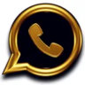 SpaceGookPurrp Whatsapp Gold Account