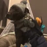 Matched profile picture
