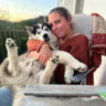 Matched profile picture