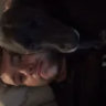 ryanblack
