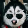 Matched profile picture