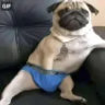 underappreclated