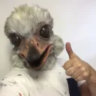 Matched profile picture