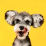 Matched profile picture