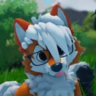 orangewolf.