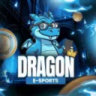 ORG DRAGON - SALAS 0,05 C